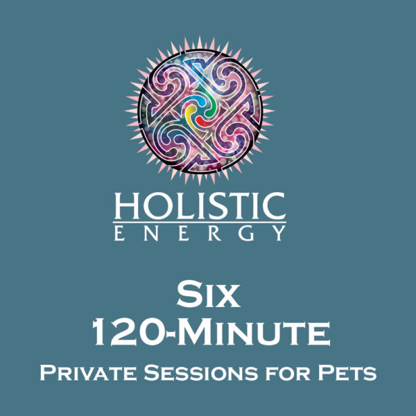 Six 120-Minute Private Sessions for Pets