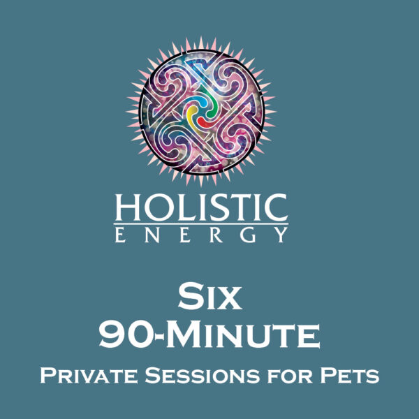 Six 90-Minute Private Sessions for Pets