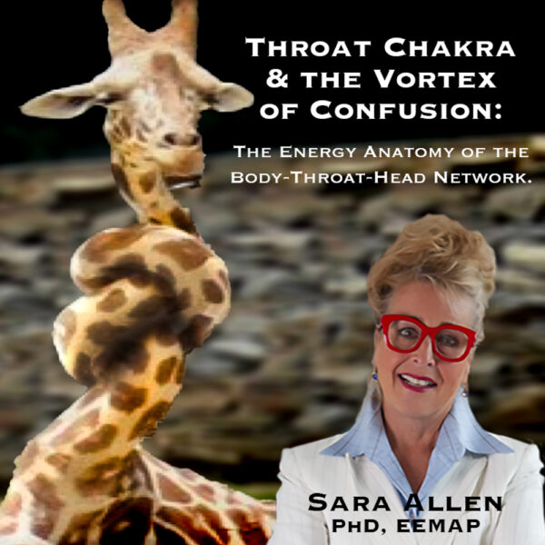 Throat Chakra & the Vortex of Confusion: The Energy Anatomy of the  Body-Throat-Head Network.