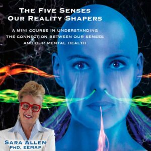 The Five Senses - Our Reality Shapers