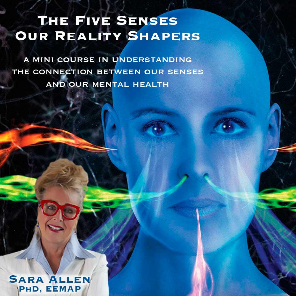 The Five Senses - Our Reality Shapers A mini course in understanding the connection between our senses and our mental health